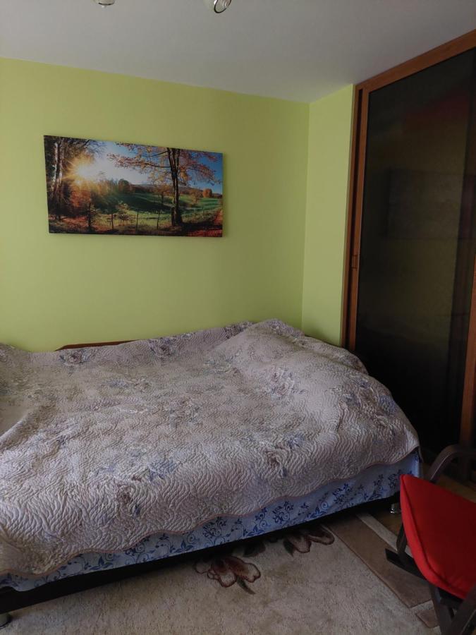 Fely Room Petroşani Esterno foto